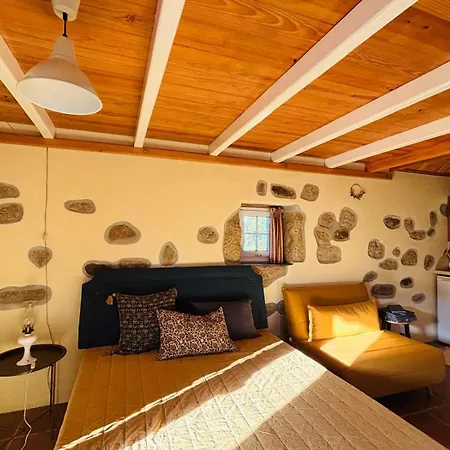 Affittacamere Serra Da Freita Concept House