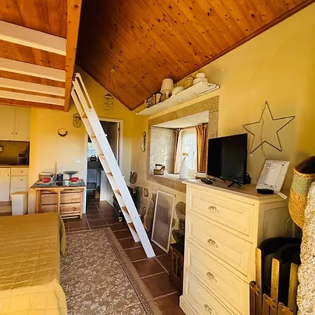 Serra Da Freita Concept House