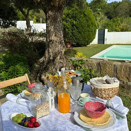 Affittacamere Serra Da Freita Concept House *