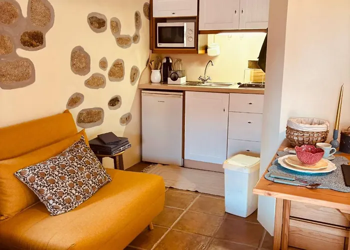 Serra Da Freita Concept House بيت ضيافة *